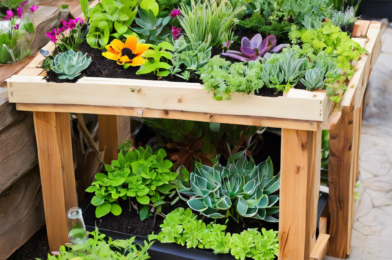 Green Thumb Secrets: DIY Garden Projects for Any Space